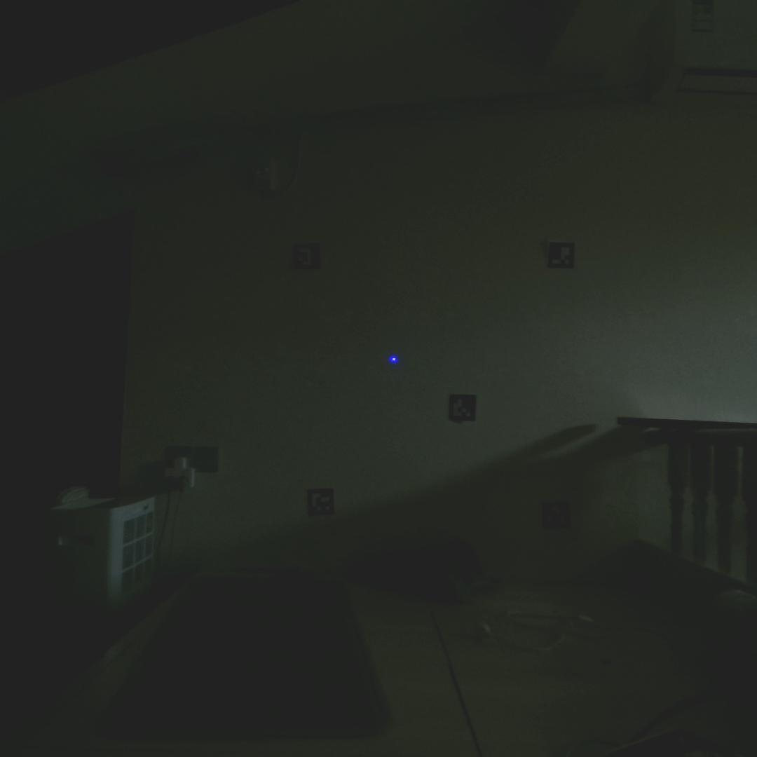Dataset Image