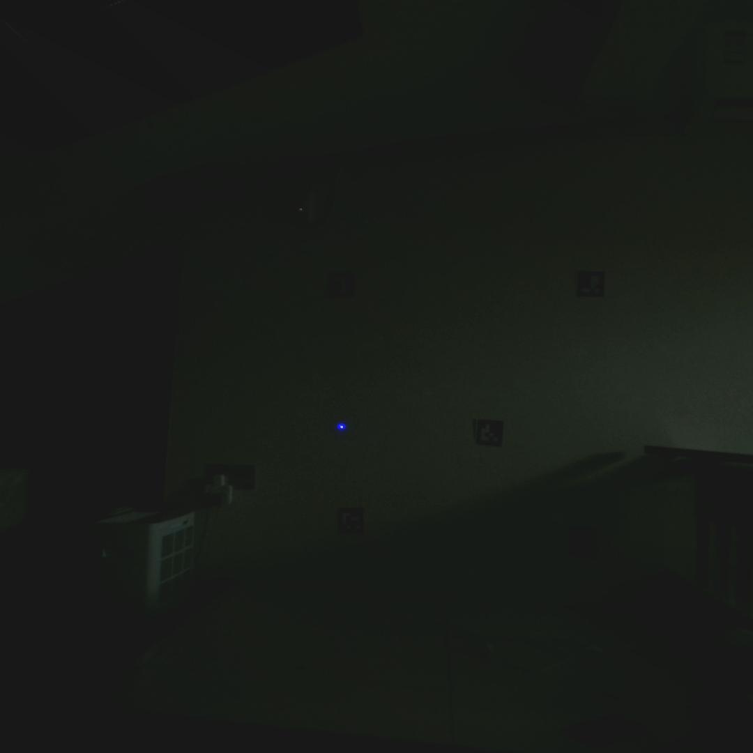Dataset Image