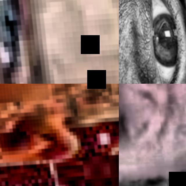 Dataset Image