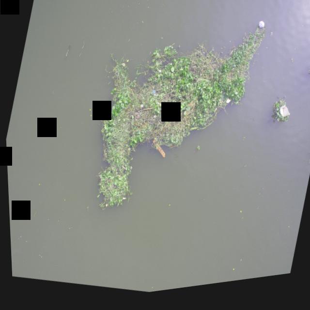 Dataset Image