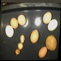 Dataset Image