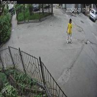 Dataset Image