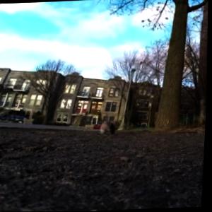 Dataset Image