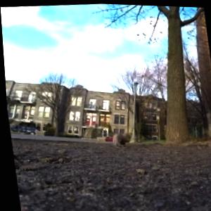 Dataset Image