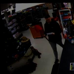Dataset Image
