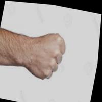 Dataset Image