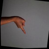 Dataset Image