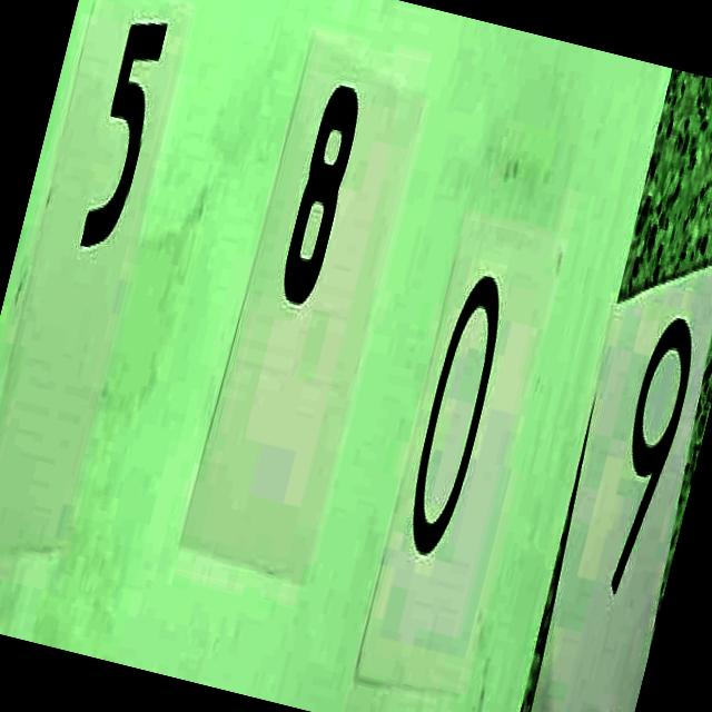 Dataset Image