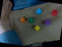Dataset Image