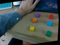 Dataset Image
