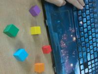 Dataset Image
