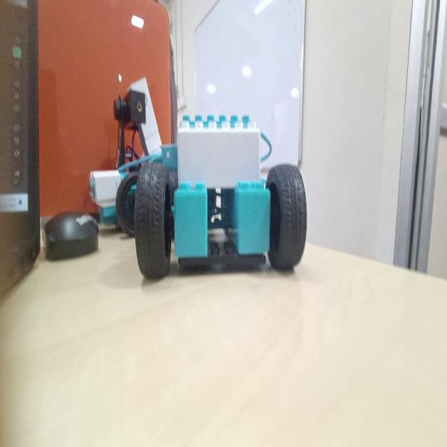 Dataset Image
