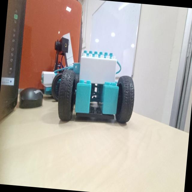 Dataset Image