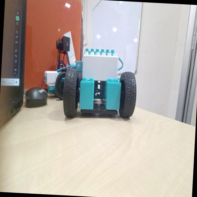 Dataset Image