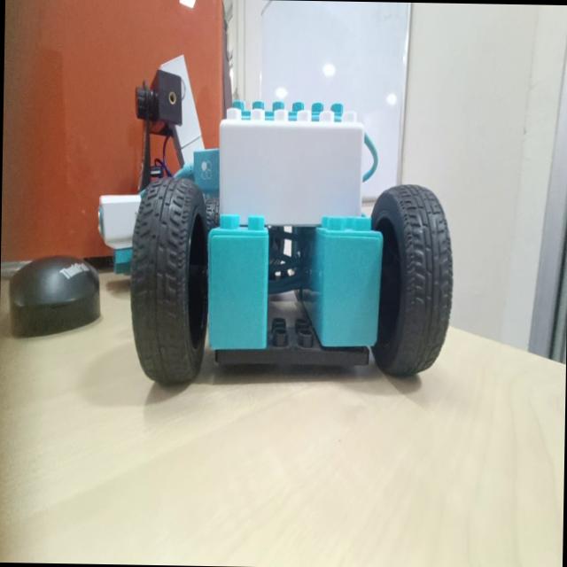 Dataset Image
