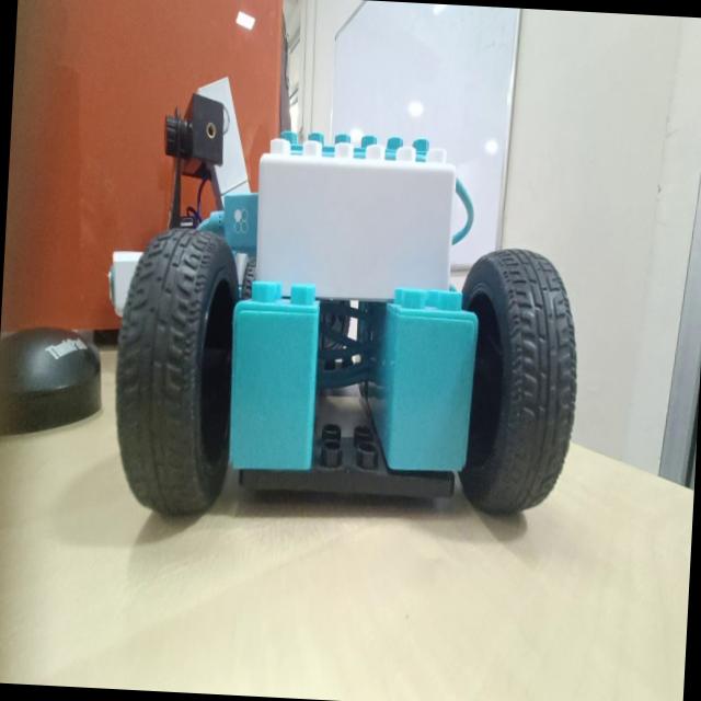 Dataset Image