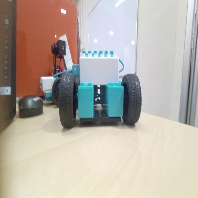 Dataset Image