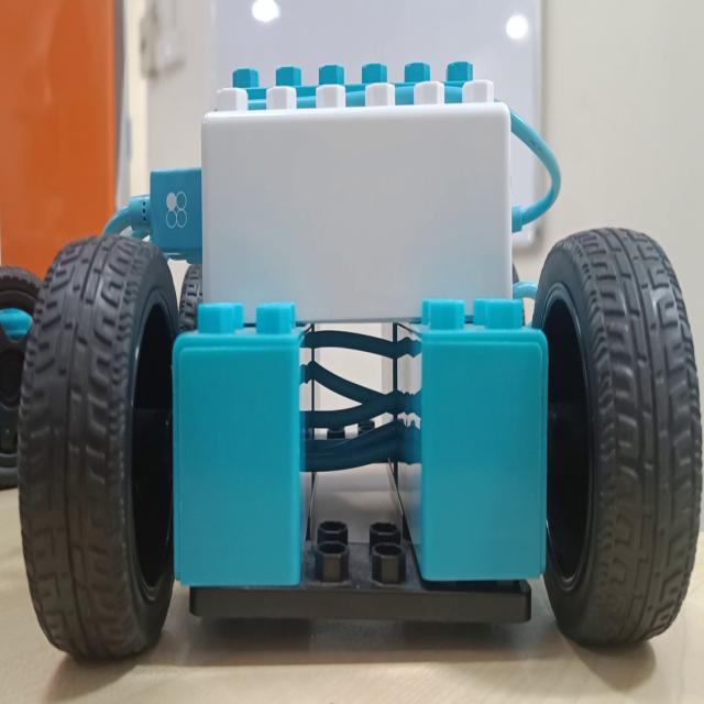 Dataset Image