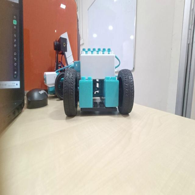 Dataset Image