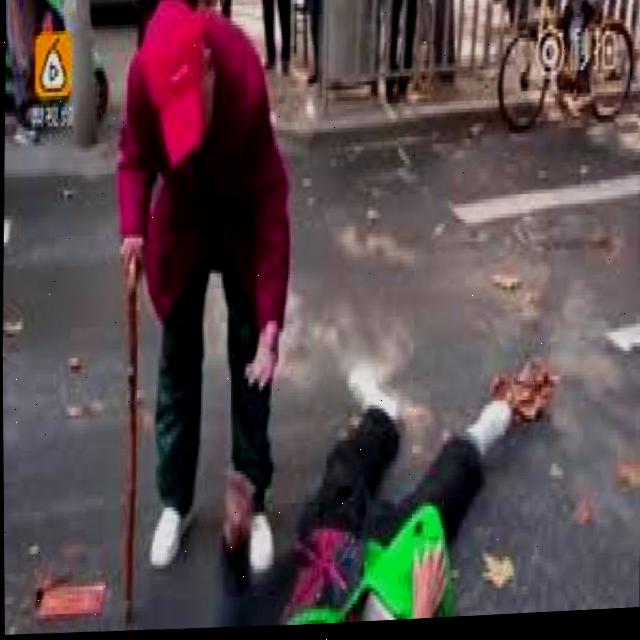 Dataset Image