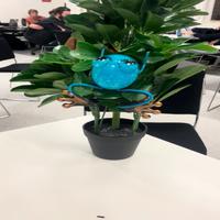 Dataset Image