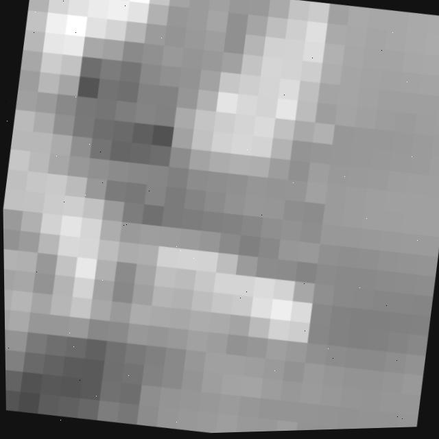 Dataset Image