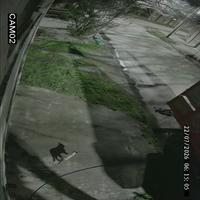 Dataset Image