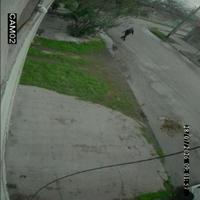 Dataset Image