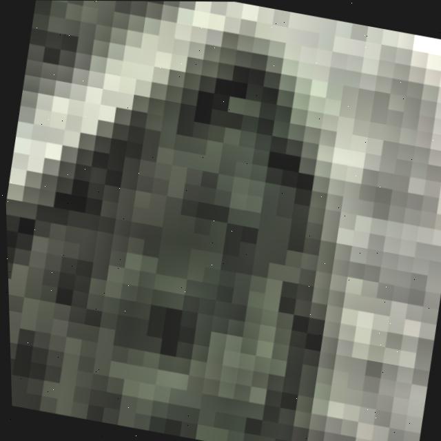 Dataset Image