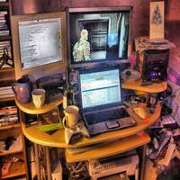 Dataset Image