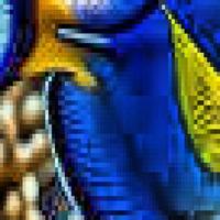 Dataset Image