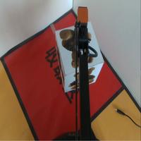 Dataset Image