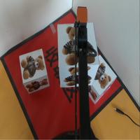 Dataset Image
