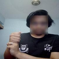 Dataset Image
