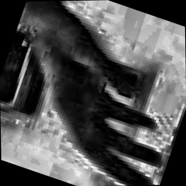 Dataset Image