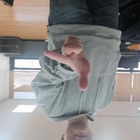 Dataset Image
