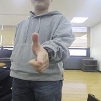 Dataset Image