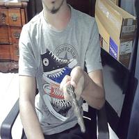 Dataset Image