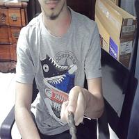 Dataset Image