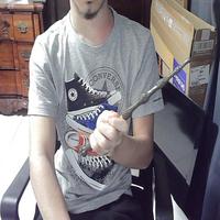 Dataset Image