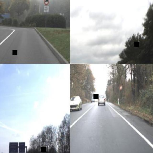 Dataset Image