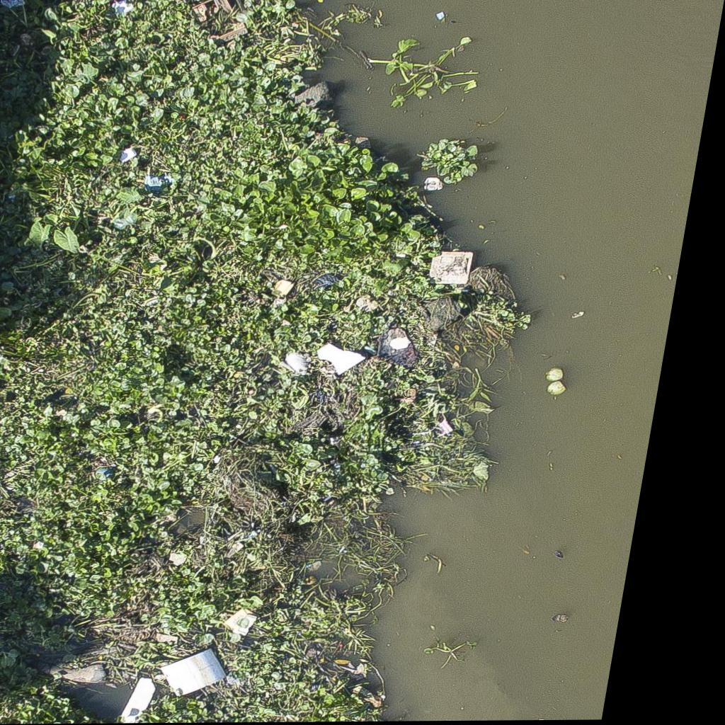 Dataset Image