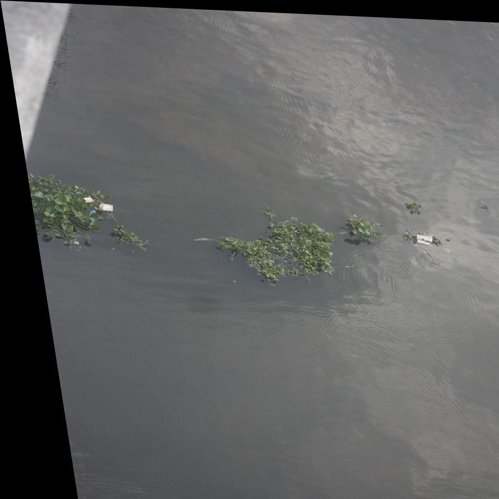 Dataset Image
