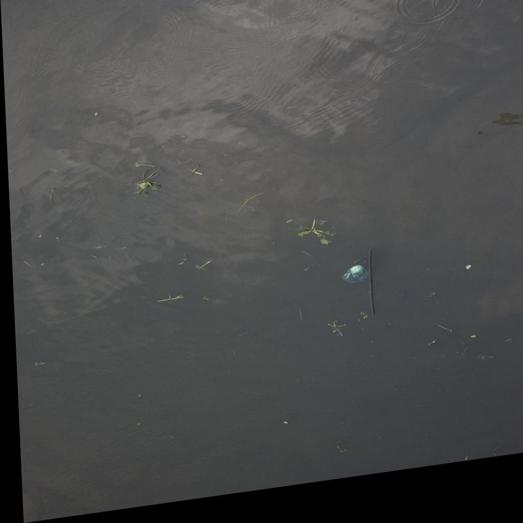 Dataset Image