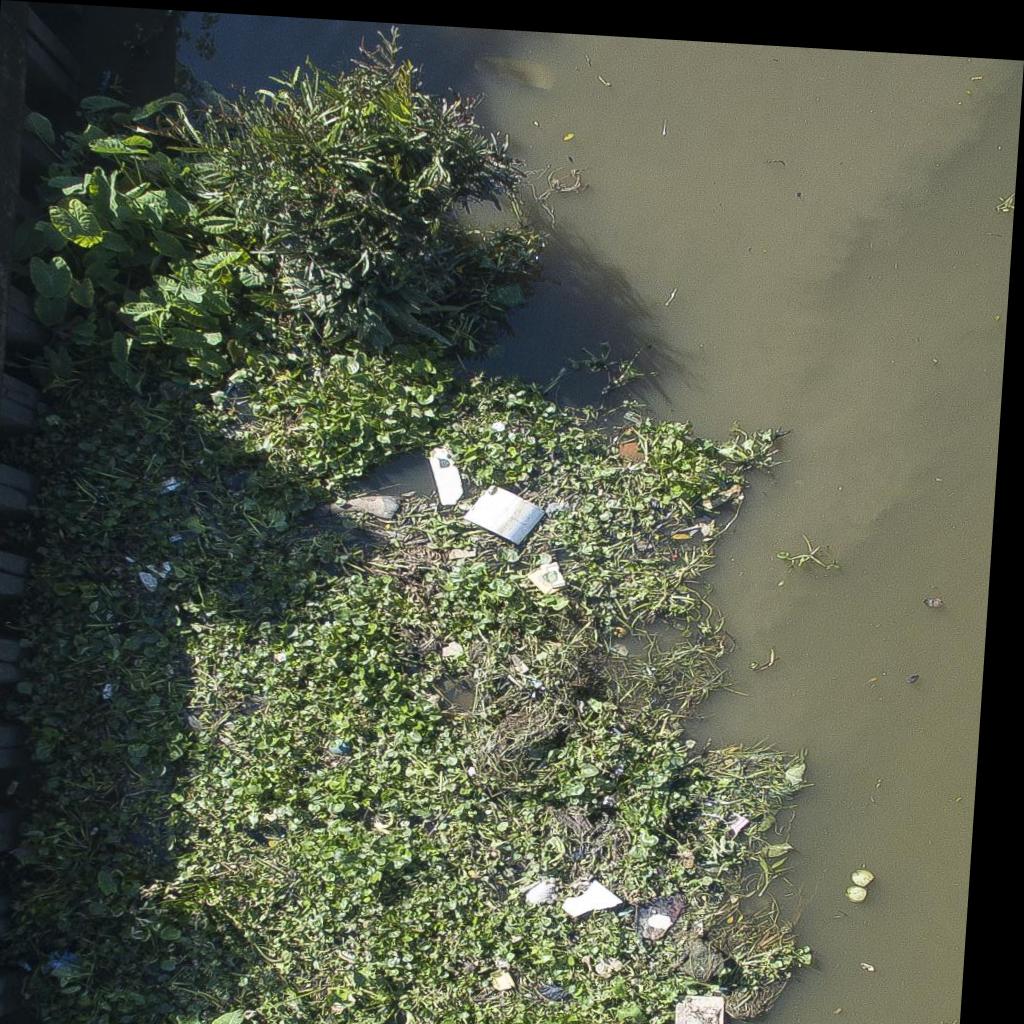 Dataset Image