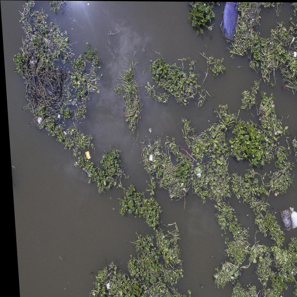 Dataset Image