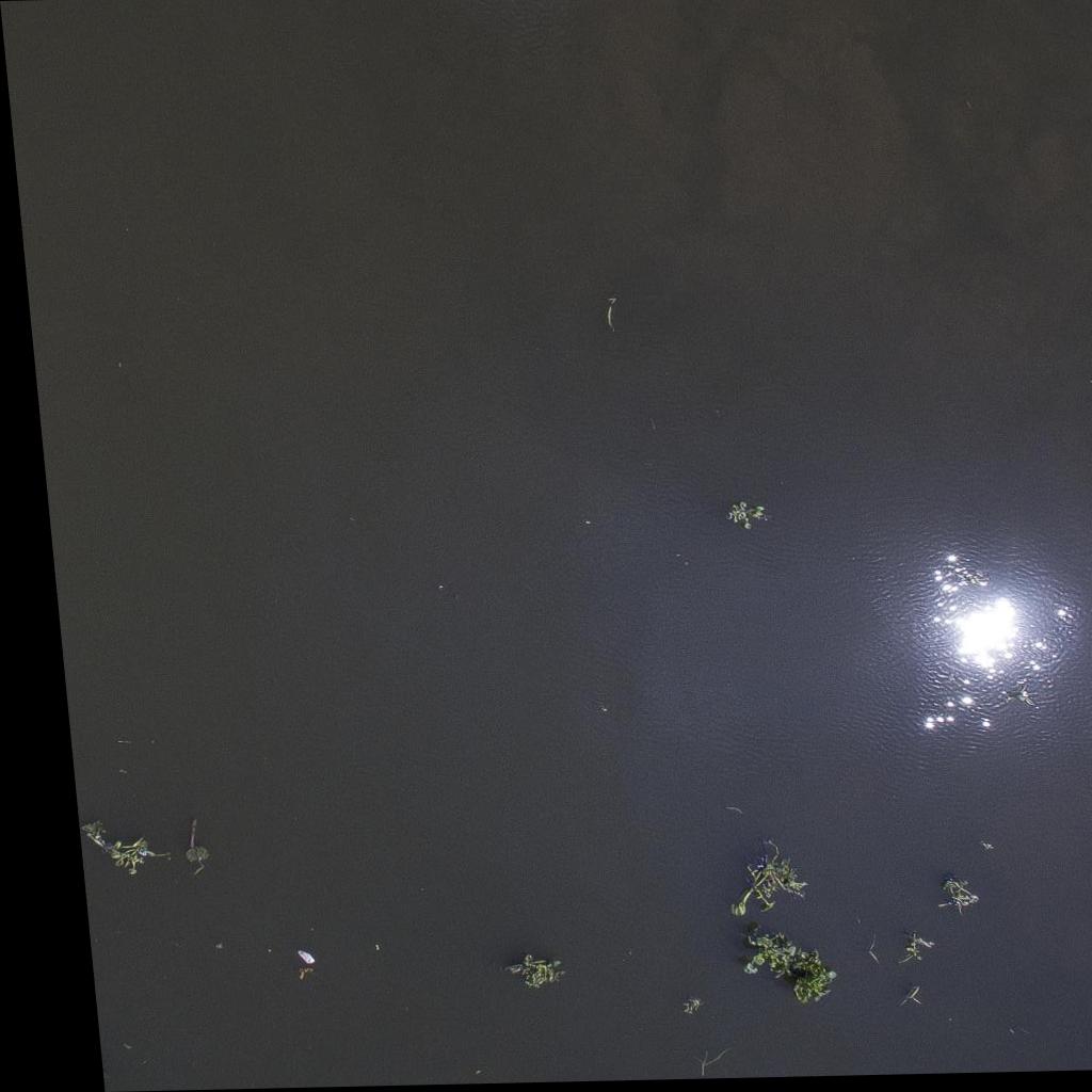 Dataset Image