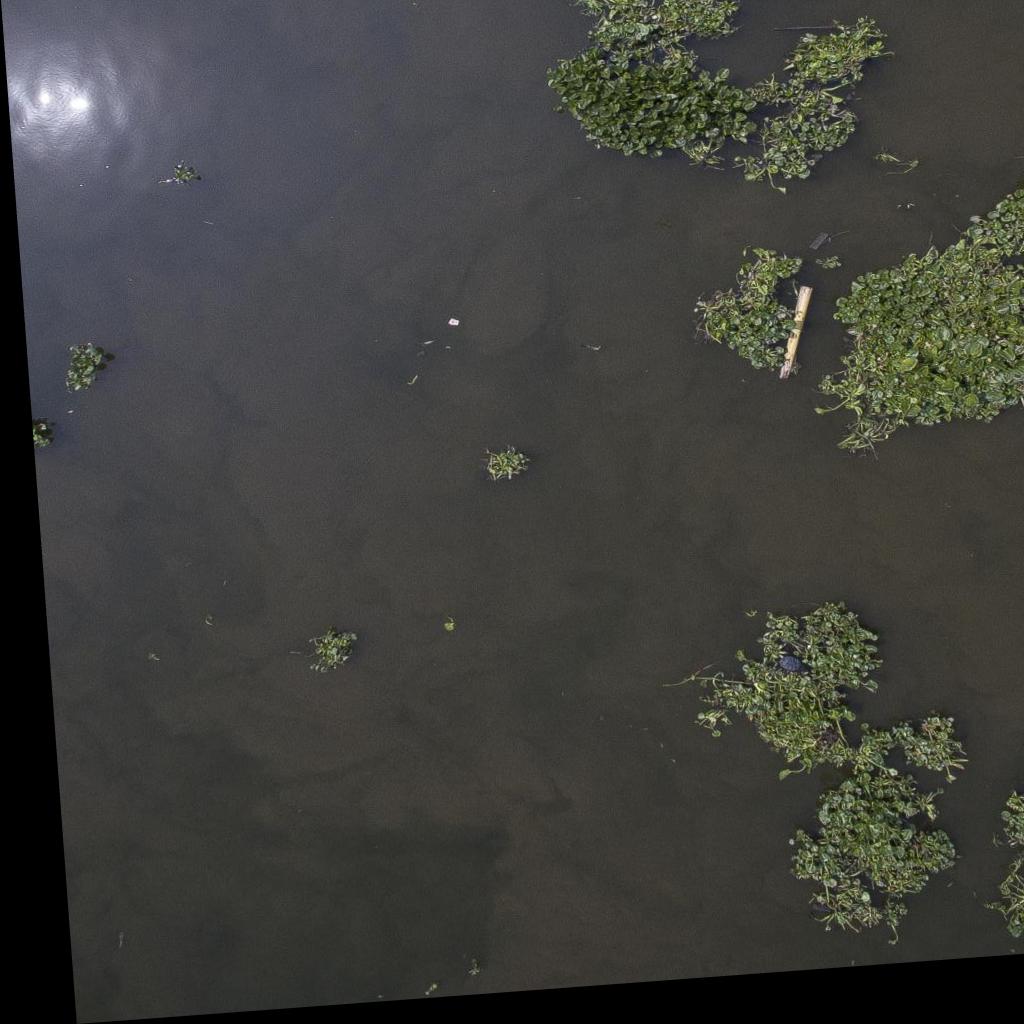 Dataset Image