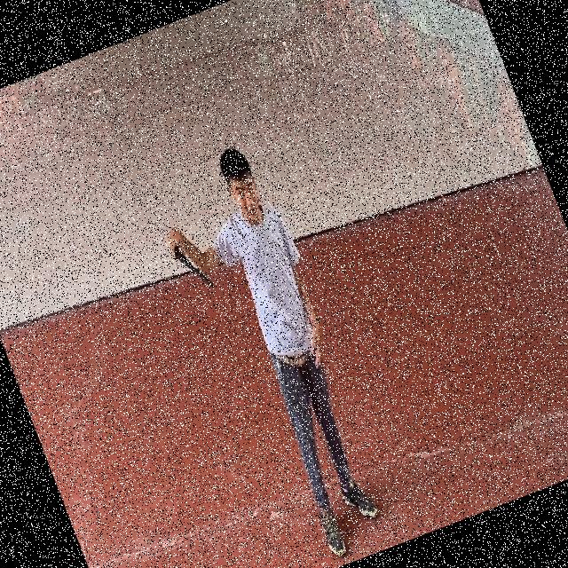Dataset Image