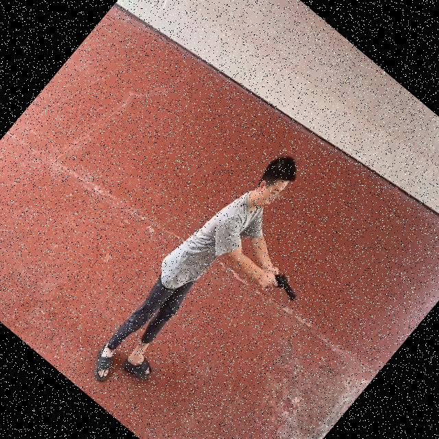 Dataset Image
